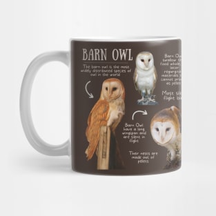 Animal Facts - Barn Owl Mug